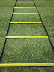 30 and 15 Foot Ballistic Response Ladder